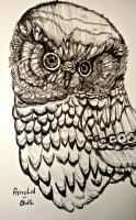 Bored Days - Arnold The Owl - Ball Point Pen